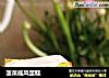 菠菜戚风蛋糕的做法