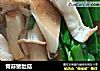 青蒜猪肚菇的做法