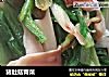 猪肚菇青菜的做法