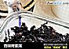 香辣烤紫菜的做法