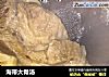 海带大骨汤的做法