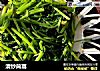 清炒茼蒿的做法
