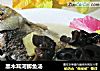 黑木耳河鲫鱼汤的做法