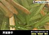芹菜香干的做法