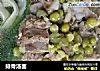 排骨汤面的做法