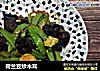 荷兰豆炒木耳的做法