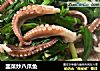 韭菜炒八爪鱼的做法