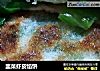 韭菜虾皮馅饼的做法