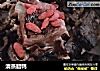 清蒸腊鸭的做法