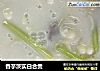 香芋茨实白合煲的做法