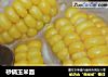 砂锅玉米面的做法