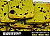 蔓越莓抹茶饼干的做法