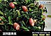 凉拌面条菜的做法