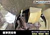 春笋煲排骨的做法