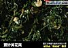 素炒黄花菜的做法