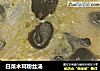 白菜木耳粉丝汤的做法