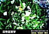 蒜香苜蓿芽的做法