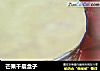 芒果千层盒子的做法