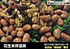 花生米拌菠菜的做法