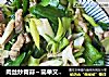 肉丝炒青蒜～简单又好吃的做法
