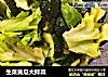生菜黄瓜大拌菜的做法