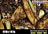 香爆小带鱼的做法