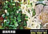 酸菜肉滑面的做法