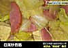 白菜炒香肠的做法