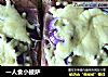 一人食小披萨的做法