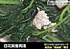 白花菜瘦肉汤的做法