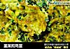 韭菜煎鸡蛋的做法