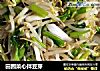 田园菜心拌豆芽的做法