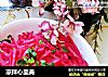 凉拌心里美的做法