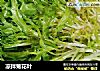 凉拌菊花叶的做法