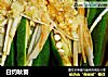 白灼秋葵的做法