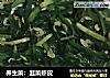 养生菜：韭菜虾皮的做法