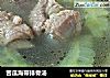 苦瓜海带排骨汤的做法