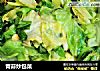 青蒜炒包菜的做法