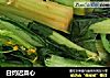 白灼迟菜心的做法