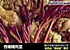 香椿摊鸡蛋的做法