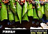 芦笋拼鱼片的做法