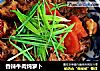 香辣牛肉炖萝卜的做法