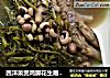 西洋菜煲鸡脚花生眉豆汤的做法