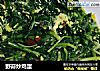 野蒜炒鸡蛋的做法