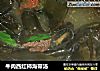牛肉西红柿海带汤的做法