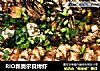 RIO新奥尔良烤虾的做法