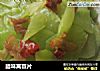 腊味莴苣片的做法