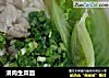 滑肉生菜面的做法