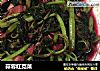 蒜蓉红苋菜的做法