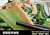 杏鲍菇炒油菜的做法